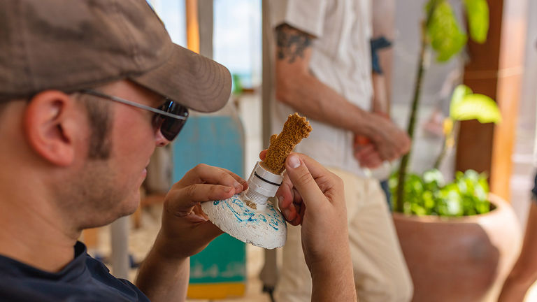 Guests of Andaz Mayakoba can learn about coral reef rehabilitation.